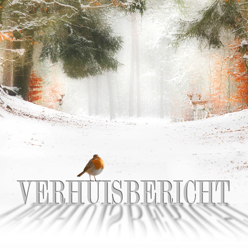 Verhuiskaart met kerstwens - Kerstkaarten Kerstkaarten - Verhuiskaart met kerstwens