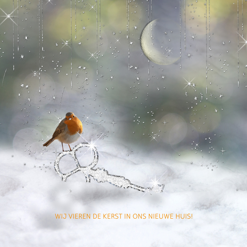 Verhuiskaart, tevens kerstkaart - Kerstkaarten Kerstkaarten - Verhuiskaart, tevens kerstkaart