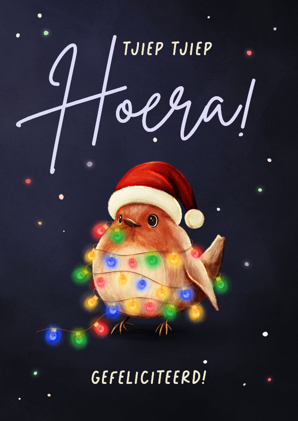 Kerstkaarten - Vrolijke kerst verjaardagskaart roodborstje met lampjes