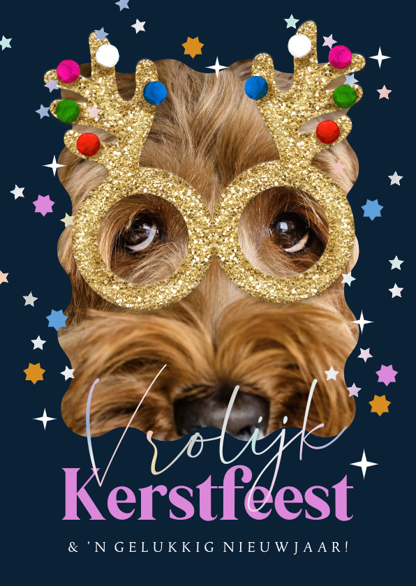 Kerstkaarten - Vrolijke kerstkaart glitterbril sterren sterren foto hond