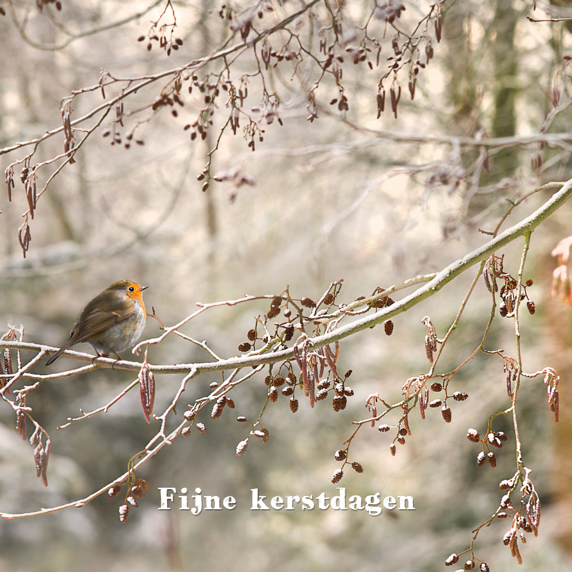 Winters bos met roodborstje - Kerstkaarten Kerstkaarten - Winters bos met roodborstje