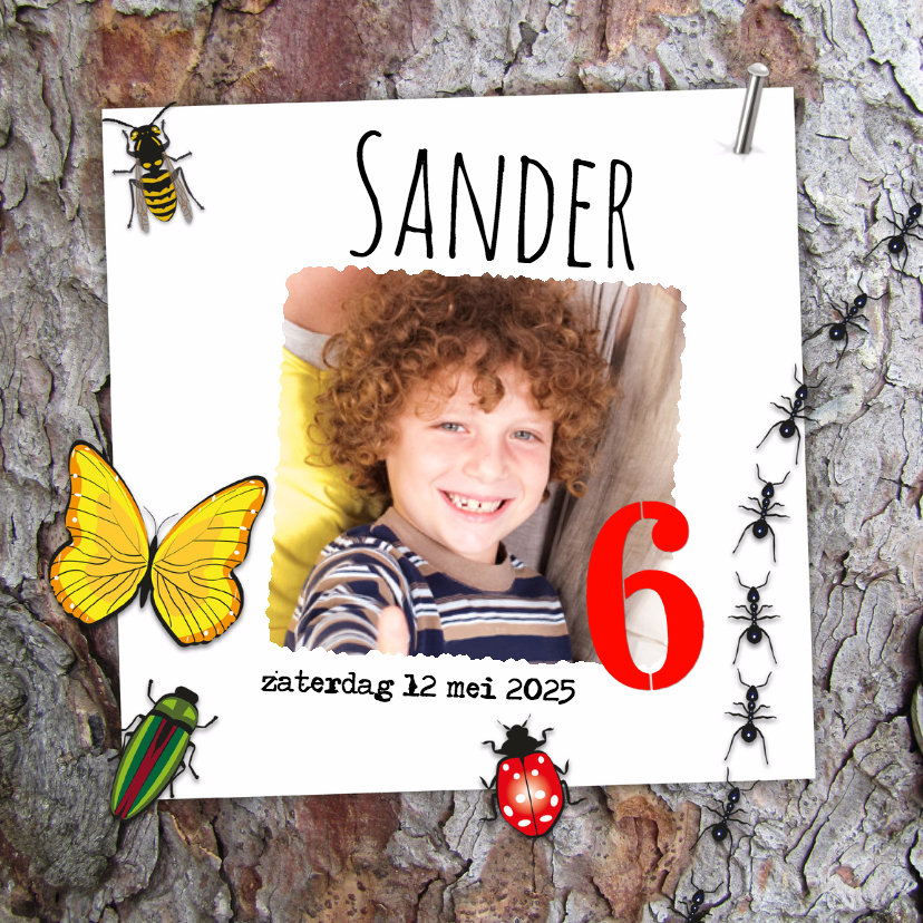 Insecten op de boom-isf - Kinderfeestjes Kinderfeestjes - Insecten op de boom-isf