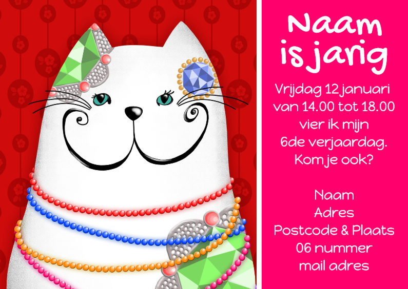 Kinderfeestje kat zus - Kinderfeestjes Kinderfeestjes - Kinderfeestje kat zus
