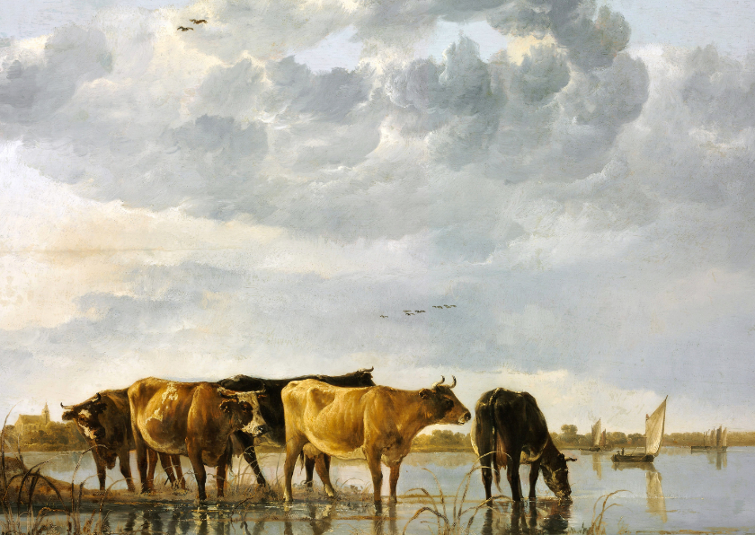 Kunstkaart van Aelbert Cuyp. Koeien in een rivier - Kunstkaarten Kunstkaarten - Kunstkaart van Aelbert Cuyp. Koeien in een rivier