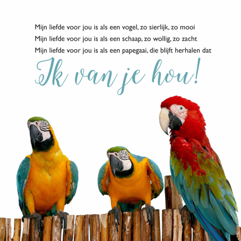Gedichtenkaart liefde met papegaaien - Liefde kaarten Liefde kaarten - Gedichtenkaart liefde met papegaaien
