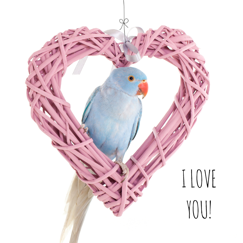 Liefde - I Love you vogel - Liefde kaarten Liefde kaarten - Liefde - I Love you vogel