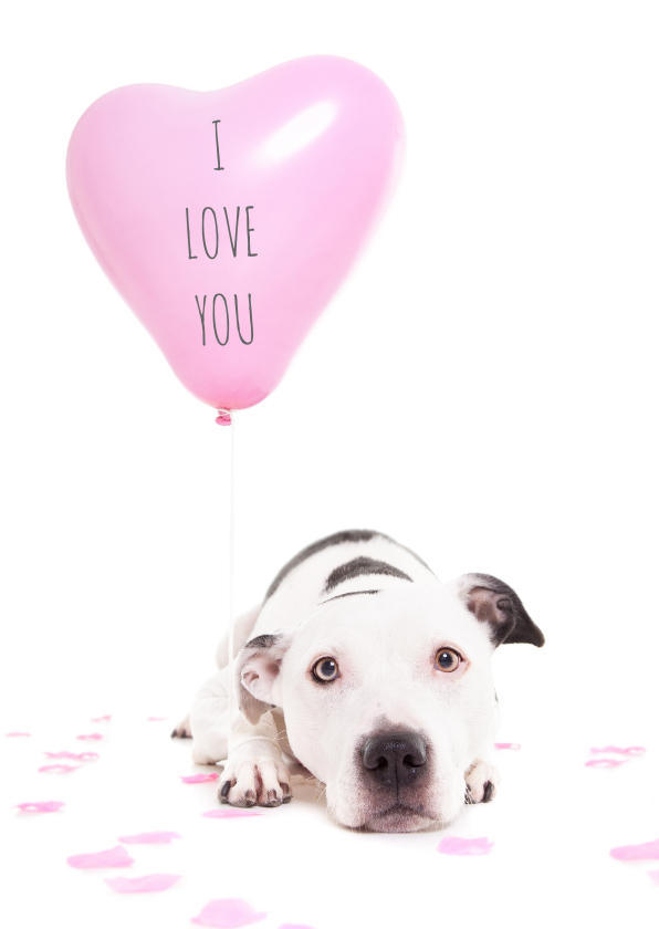 Liefde kaarten - Liefde kaart - Hond hart ballon