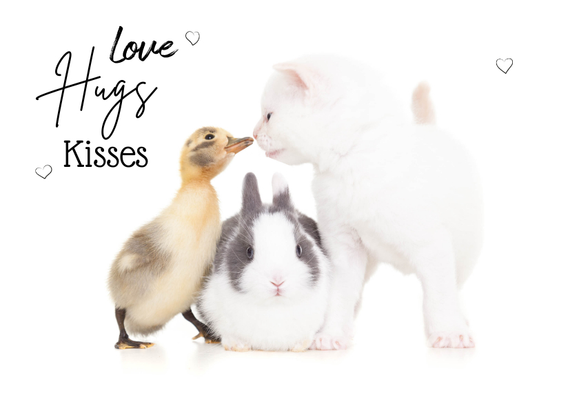 Liefde kaarten - Liefde kaart 'love hugs kisses met konijn kuiken kitten