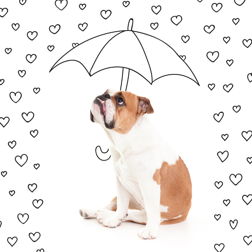 Liefde - Love hartjes bulldog - Liefde kaarten Liefde kaarten - Liefde - Love hartjes bulldog
