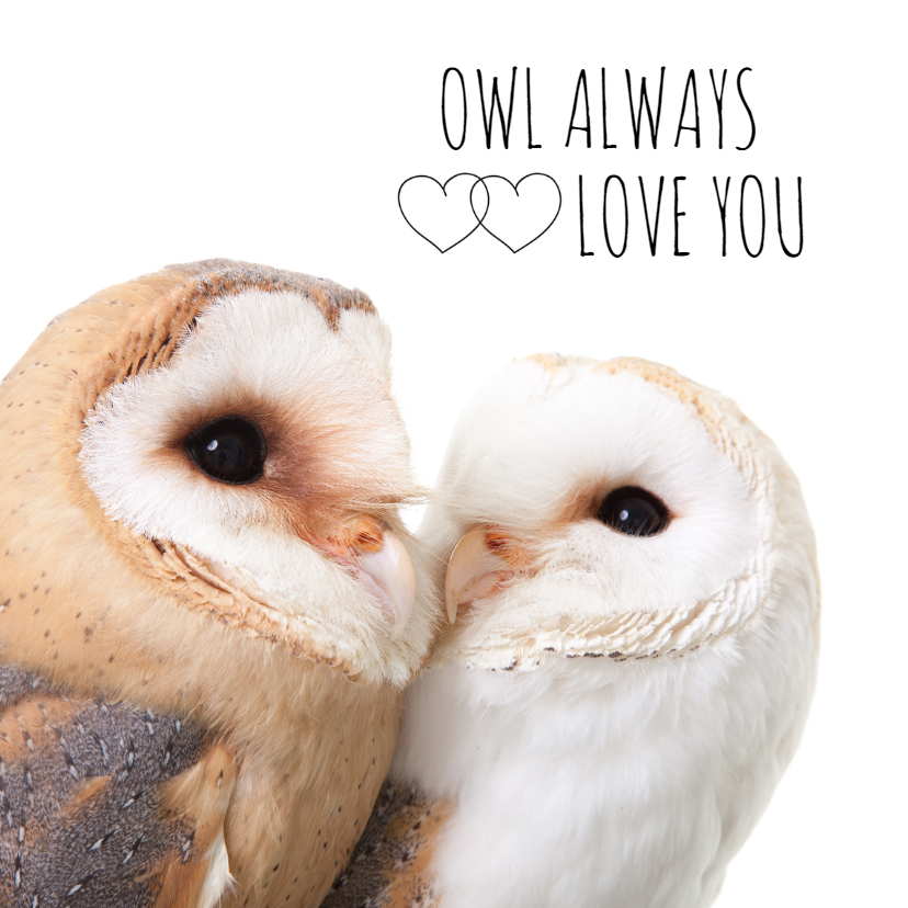 Liefde kaarten - Liefde - Owl always love you uiltjes