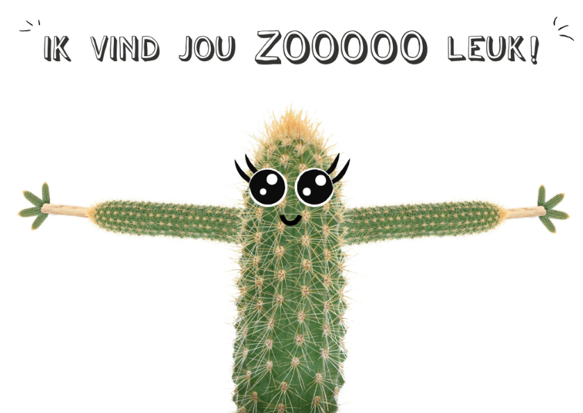 Liefde kaarten - Liefdeskaart met cactus met ik vind jou zooooo leuk! 