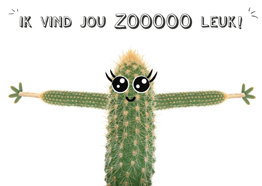 Liefdeskaart met cactus met ik vind jou zooooo leuk! - Liefde kaarten Liefde kaarten - Liefdeskaart met cactus met ik vind jou zooooo leuk!