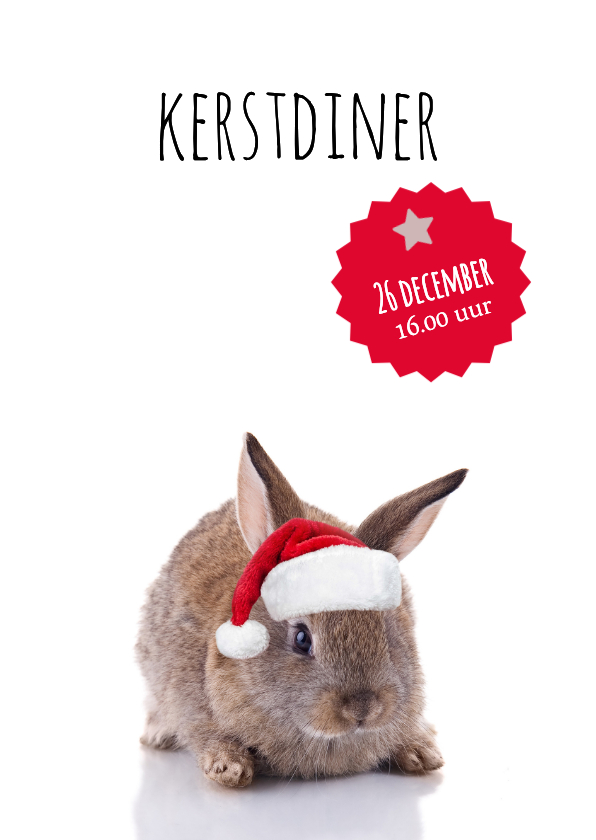 Menukaart kerstdiner konijntje met kerstmuts - Menukaarten Menukaarten - Menukaart kerstdiner konijntje met kerstmuts
