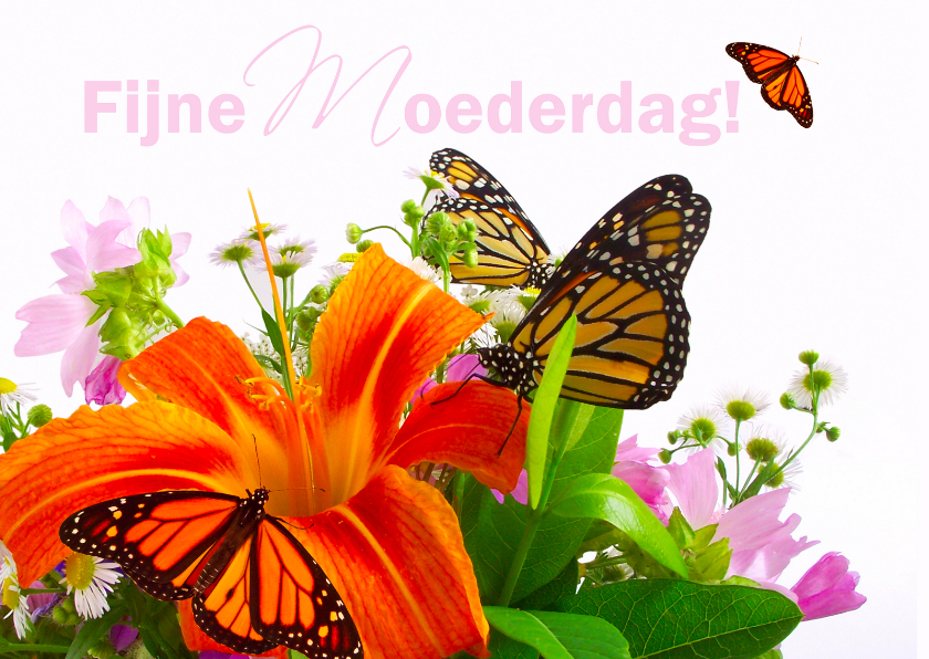Fijne moederdag met bloemen en vlinders - Moederdag kaarten Moederdag kaarten - Fijne moederdag met bloemen en vlinders