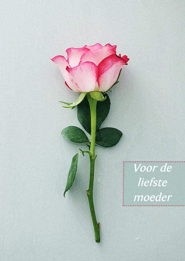 Kaart roos - Moederdag kaarten Moederdag kaarten - Kaart roos