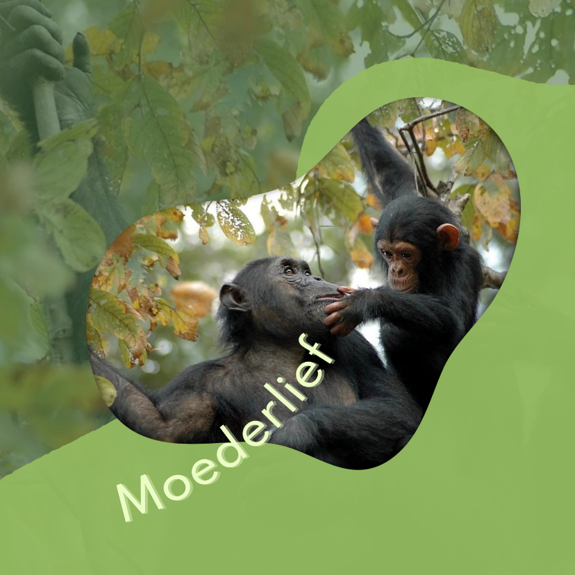 Lief moeder - Moederdag kaarten Moederdag kaarten - Lief moeder