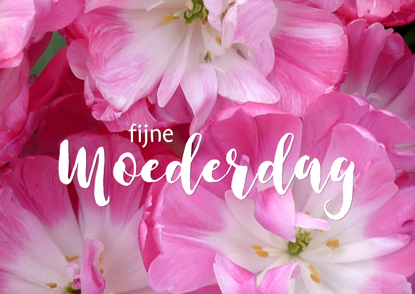 Moederdag roze tulpen - Moederdag kaarten Moederdag kaarten - Moederdag roze tulpen