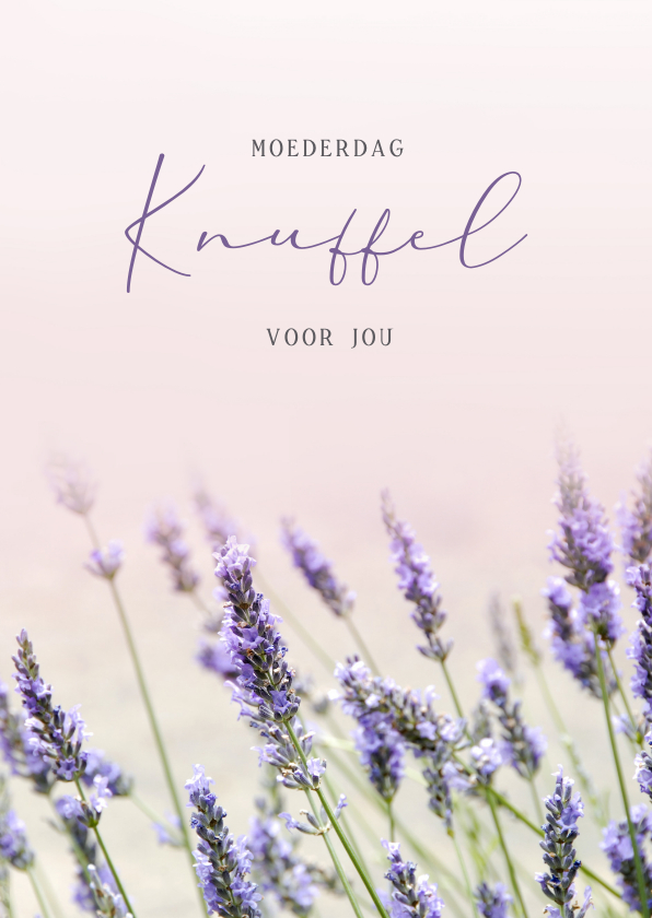 Moederdag kaarten - Moederdag sterkte kaart met foto van lavendel veld