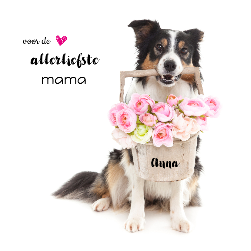 Moederdagkaart | Border collie met bloemenmandje - Moederdag kaarten Moederdag kaarten - Moederdagkaart | Border collie met bloemenmandje
