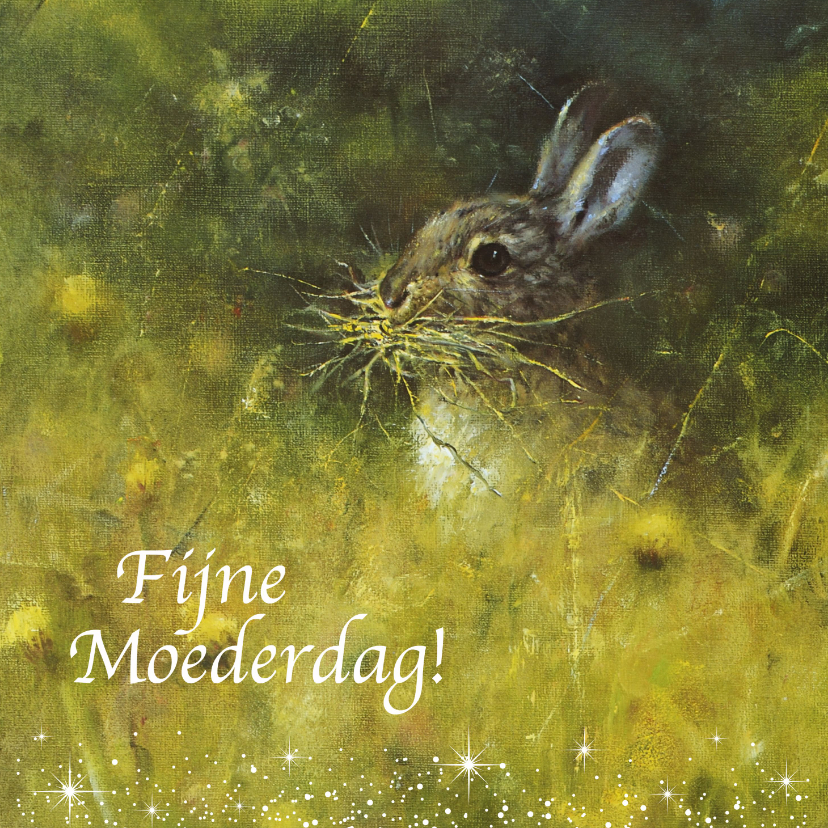 Moederdagkaart konijn in het wild - Moederdag kaarten Moederdag kaarten - Moederdagkaart konijn in het wild