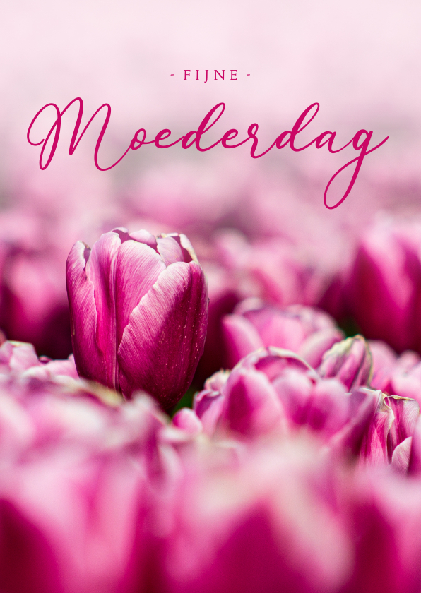 Moederdag kaarten - Moederdagkaart roze tulpen fijne Moederdag