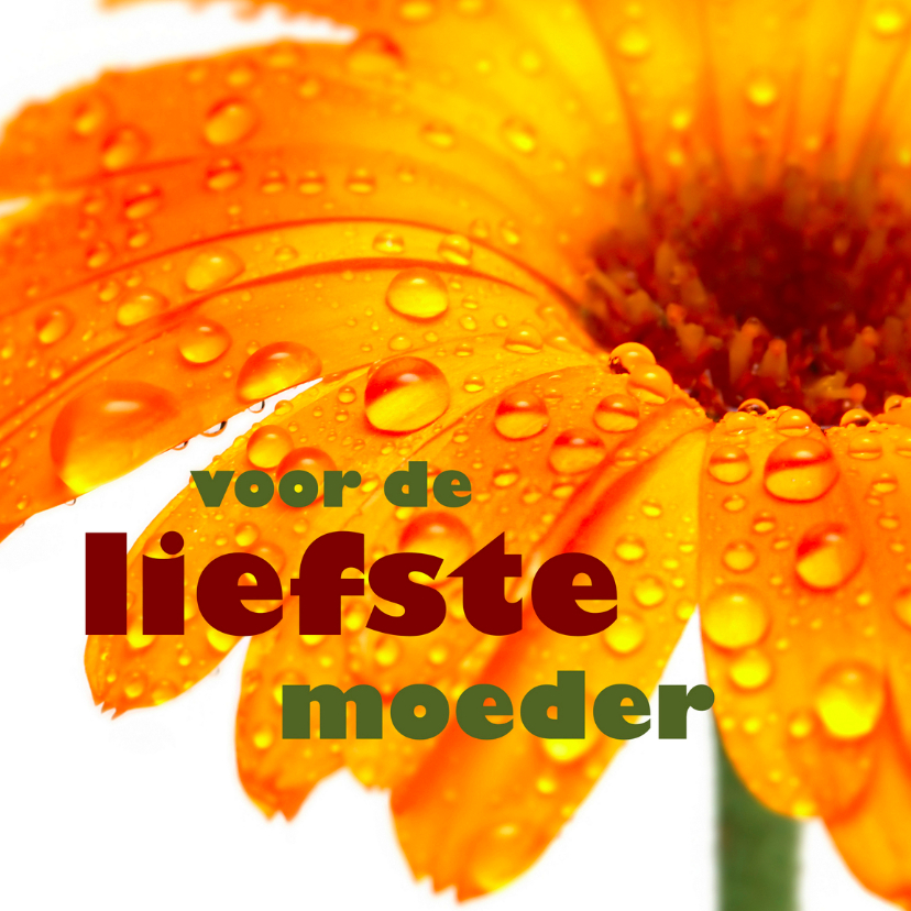 Moederdagkaart 'Voor de liefste moeder' - Moederdag kaarten Moederdag kaarten - Moederdagkaart 'Voor de liefste moeder'