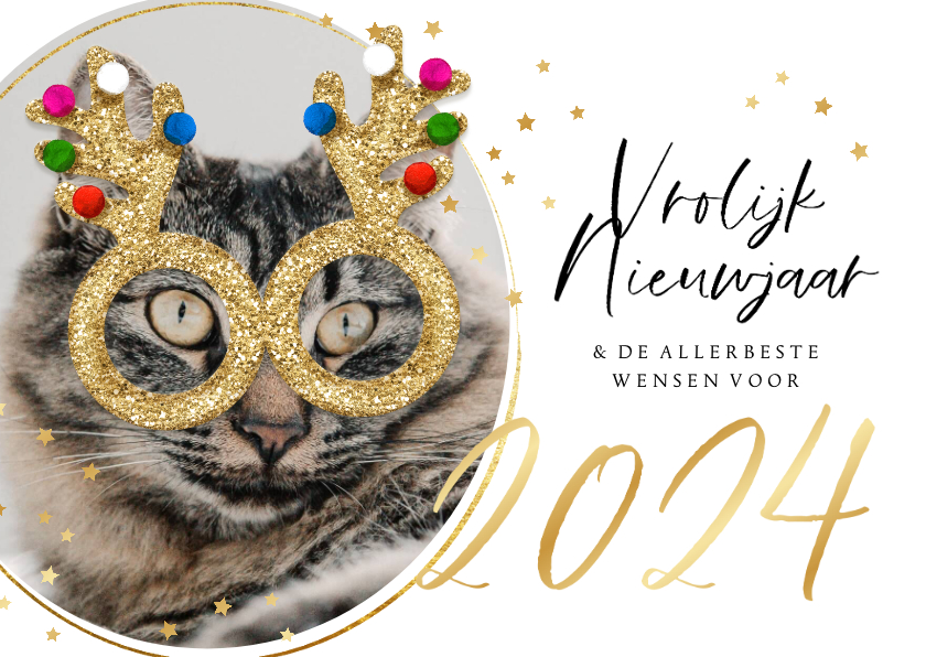 Nieuwjaarskaarten - Grappige nieuwjaarskaart kat glitterbril sterren goud