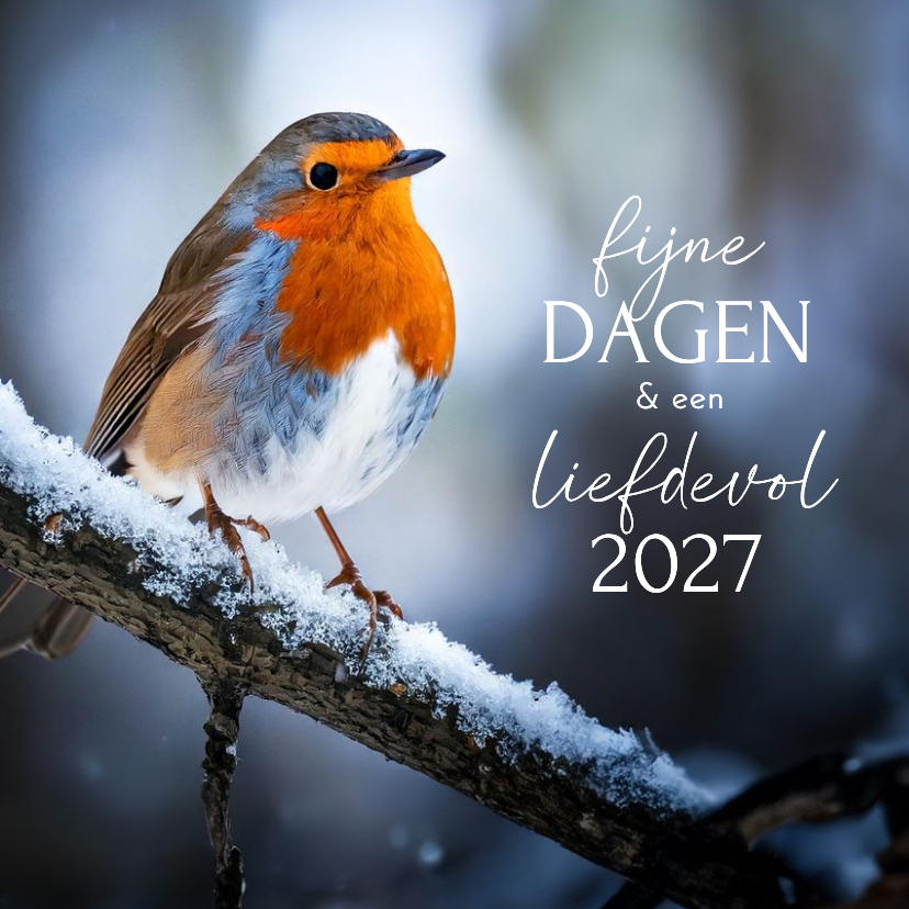 Klassiek nieuwjaarskaartje met foto roodborstje winter - Nieuwjaarskaarten Nieuwjaarskaarten - Klassiek nieuwjaarskaartje met foto roodborstje winter