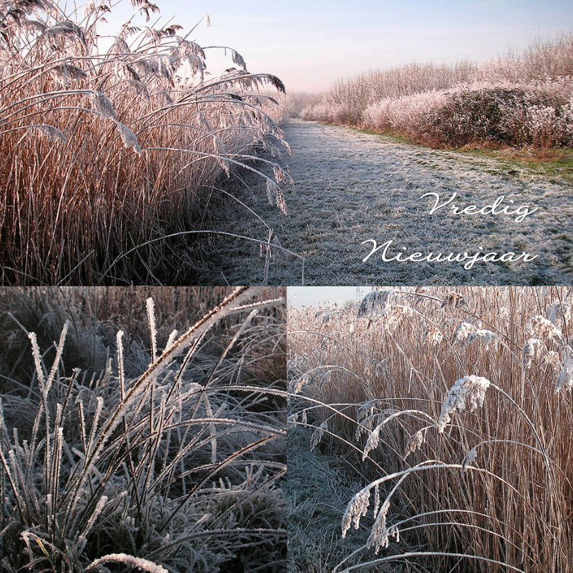 Nieuwjaarskaarten - Nieuwjaar vredig winterse natuur