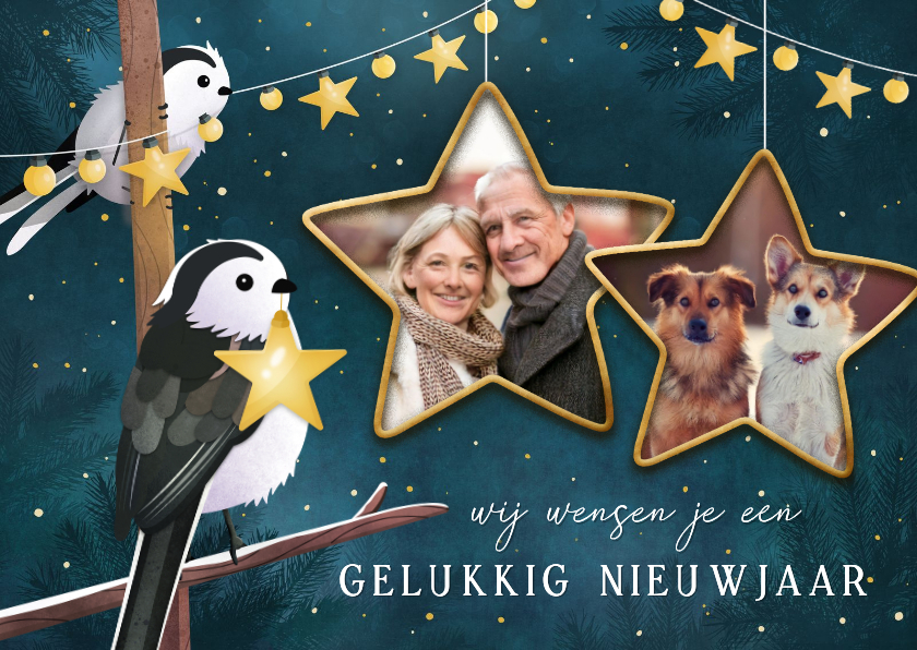 Nieuwjaarskaart met eigen foto's en illustratie van vogels - Nieuwjaarskaarten Nieuwjaarskaarten - Nieuwjaarskaart met eigen foto's en illustratie van vogels