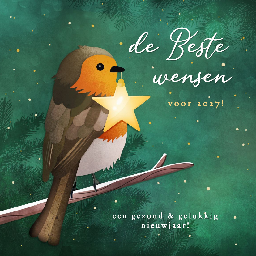 Nieuwjaarskaart met roodborstje en ster - Nieuwjaarskaarten Nieuwjaarskaarten - Nieuwjaarskaart met roodborstje en ster