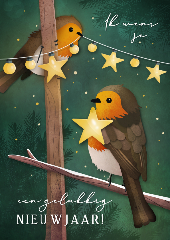 Nieuwjaarskaarten - Nieuwjaarskaart met roodborstjes en lampjes