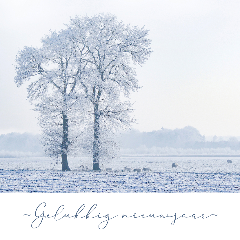 Nieuwjaarskaarten - Nieuwjaarskaart sneeuwlandschap bomen