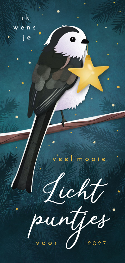 Nieuwjaarskaart vogel met een ster lichtpuntje - Nieuwjaarskaarten Nieuwjaarskaarten - Nieuwjaarskaart vogel met een ster lichtpuntje