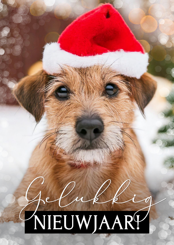 Nieuwjaarskaarten - Nieuwjaarskaarten eenvoudige fotokaart zwart wit