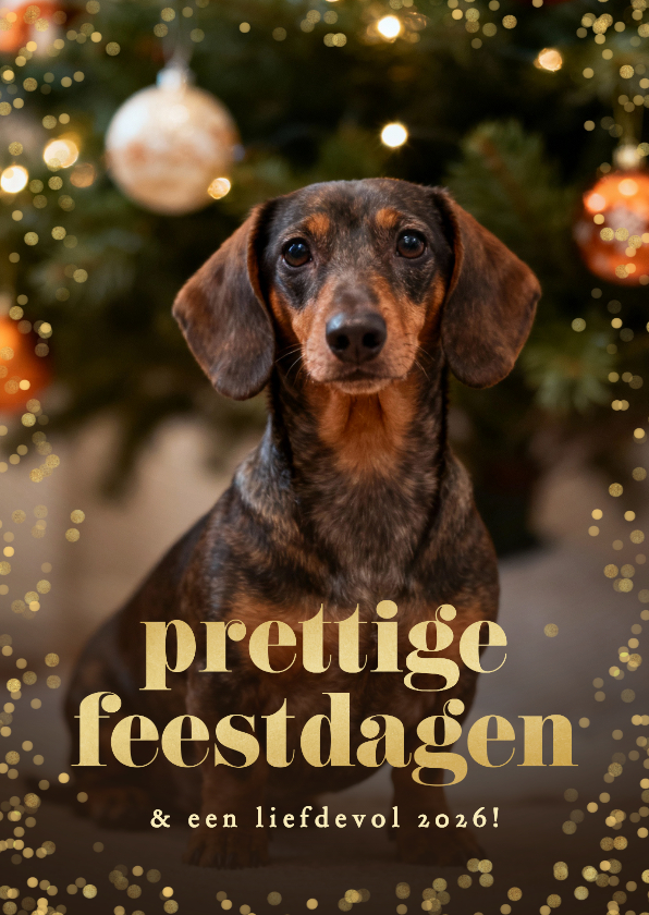 Nieuwjaarskaarten - Nieuwjaarskaartje grote foto hond kader goud confetti
