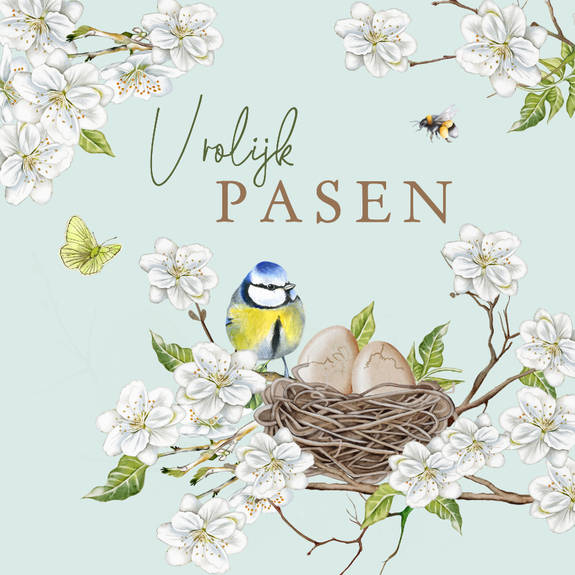 Paaskaart bloesemtakken met eitjes - Paaskaarten Paaskaarten - Paaskaart bloesemtakken met eitjes