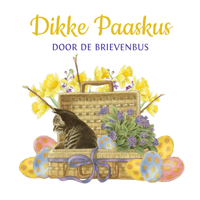 Paaskaarten - Paaskaart lief katje stuurt paaskus door de brievenbus