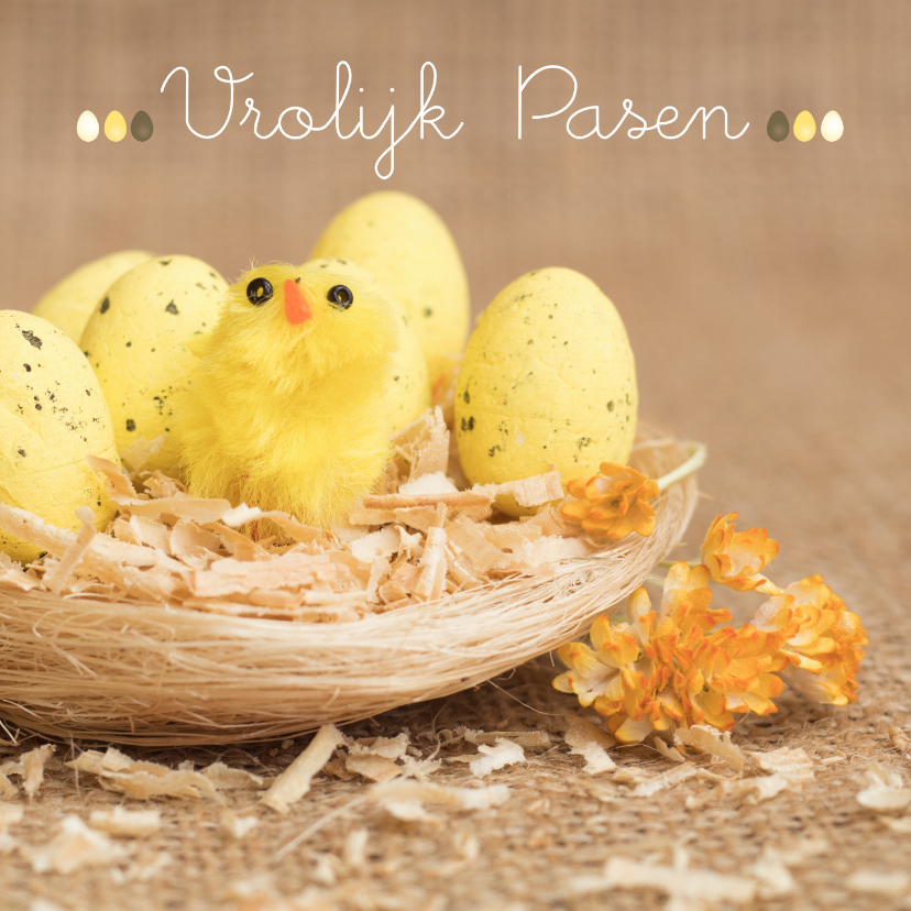 Paaskaarten - Paaskaart met nest kuikens en gele eieren