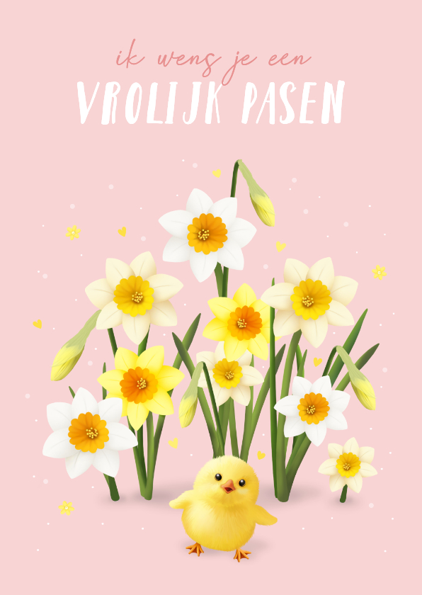Paaskaarten - Paaskaart narcissen met kuikentje roze achtergrond