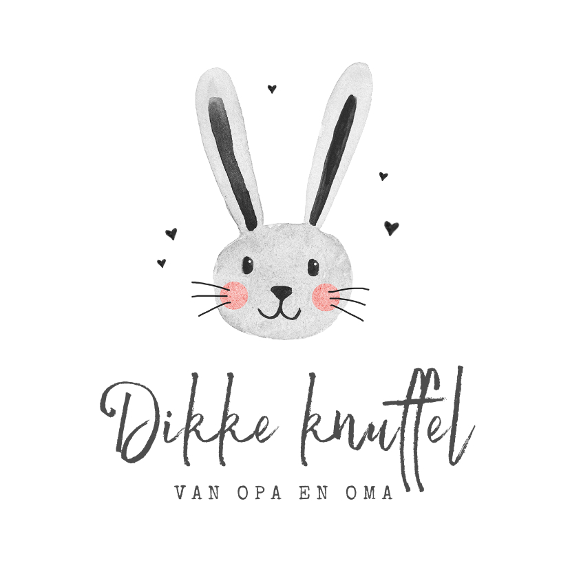 Paaskaarten - Paaskaart paashaas vrolijk pasen dikke knuffel