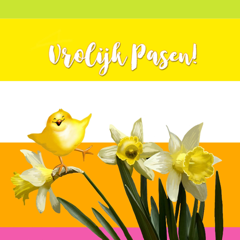 Paaskaarten - Paaskaarten - narcissen met kuikentje