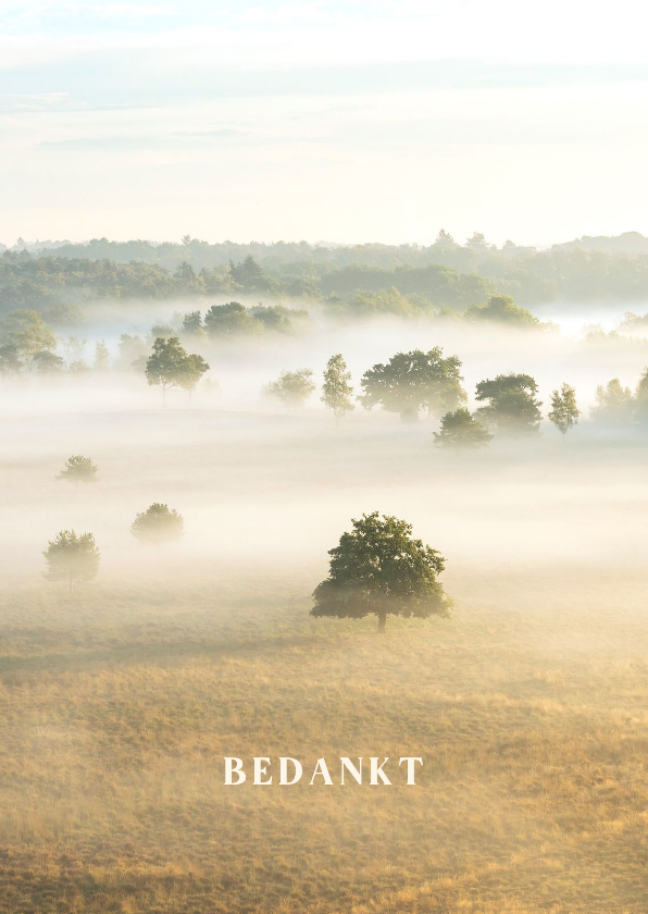 Rouwkaarten - Bedankkaart landschap met mist