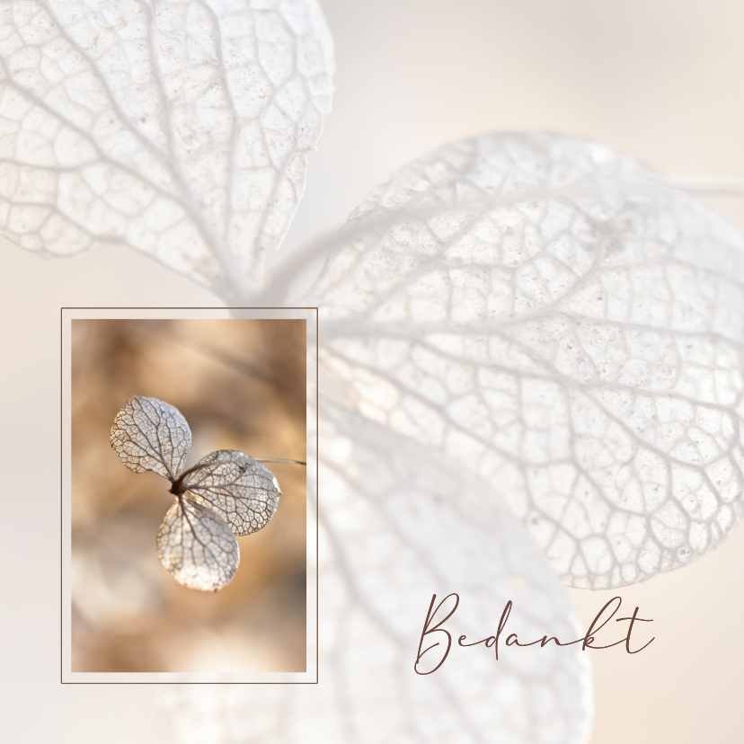 Bedankkaart met hortensia sepia - Rouwkaarten Rouwkaarten - Bedankkaart met hortensia sepia