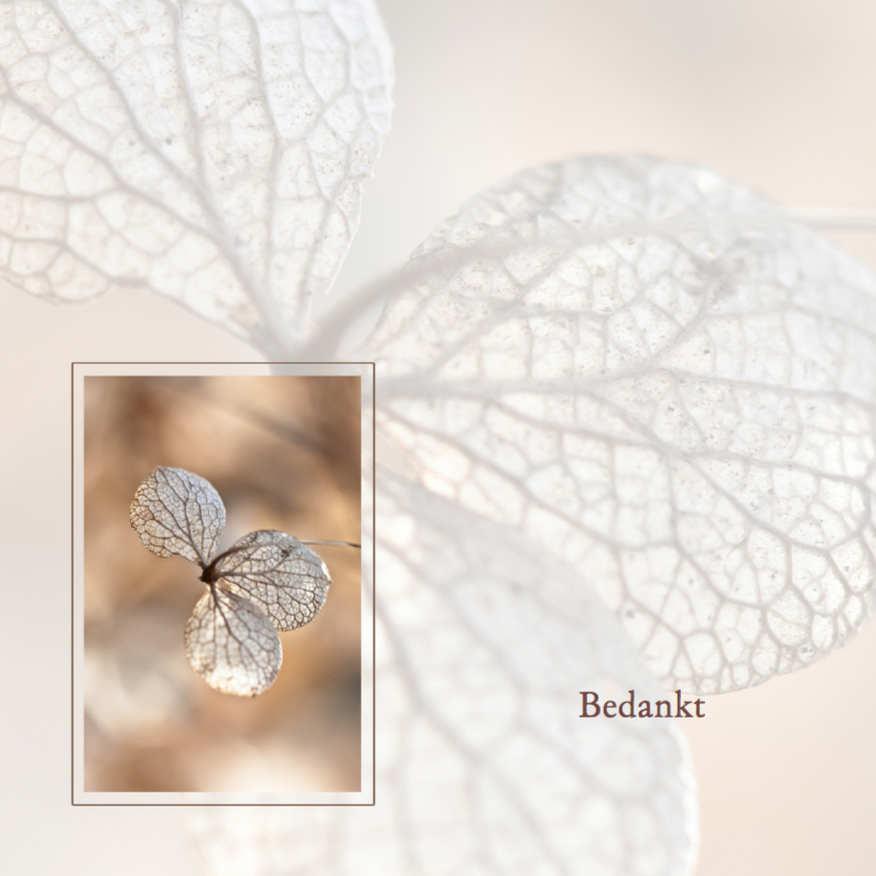 Bedankkaart na overlijden -hortensia- - Rouwkaarten Rouwkaarten - Bedankkaart na overlijden -hortensia-