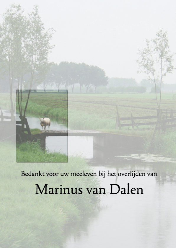 Bedankkaart rouw met weiland - Rouwkaarten Rouwkaarten - Bedankkaart rouw met weiland