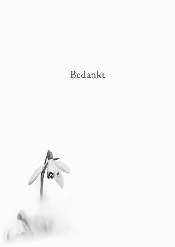 Bedankt met sneeuwklokje-staand - Rouwkaarten Rouwkaarten - Bedankt met sneeuwklokje-staand