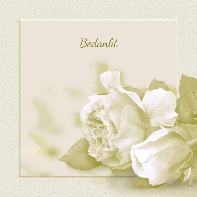 Mooie bedankkaart met witte rozen op zachte achtergrond - Rouwkaarten Rouwkaarten - Mooie bedankkaart met witte rozen op zachte achtergrond