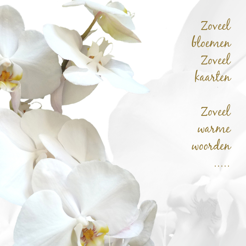Rouwkaarten - Rouw bedankt Orchidee - hemels wit