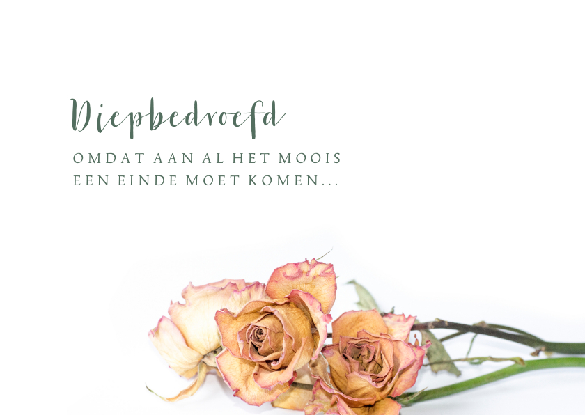 Rouw Gedroogde rozen liggend - Rouwkaarten Rouwkaarten - Rouw Gedroogde rozen liggend